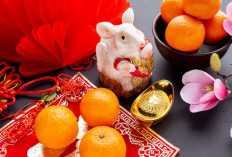 Shio Tikus 2026 Diuji Energi Kuda Api: Tantangan Emosional, Karier Melonjak, Keuangan Wajib Waspada