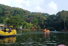 Mengungkap Fenomena 2 Wajah Situ Cipanten, Destitasi Wisata Favorit Keluarga di Majalengka