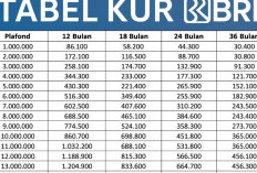 KUR BRI 2025 Akhir Tahun: Pinjam Rp25 Juta, Cicilan Mulai Rp500 Ribuan, UMKM Wajib Tahu