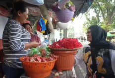 Banjir Peziarah Jelang Puasa, Pedagang Bunga di TPU Jabang Bayi Raup Untung Besar