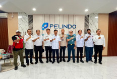 Cirebon Siapkan Proyek Giant Sea Wall, Ini Manfaat Besarnya bagi Wilayah Pantura