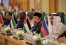 Wamenlu Anis Matta: OKI Harus Menuntut Israel Atas Kejahatan Kemanusiaan dan Terorisme