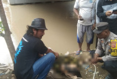 Jasad Perempuan Tersangkut di Tiang Jembatan Karangsambung, Polisi Lakukan Penyelidikan