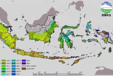 El Nino 2026 Masih Sangat Kuat, BMKG Ungkap Wilayah yang Tak Hujan hingga 87 Hari!