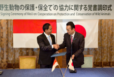 MoU Menhut dengan Jepang: Diplomasi Hijau hingga Penangkaran Komodo di iZoo Shizuoka