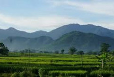 Menjelajah Keindahan Gunung Sanggabuana: Rute Pendakian, Camping Ground, hingga Curug Tersembunyi di Karawang
