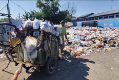 Sampah Menggunung di TPS Weru Cirebon Hampir 2 Bulan, Bau Menyengat Ganggu Warga