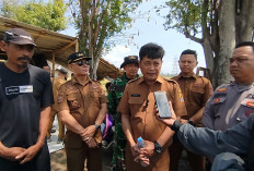 Produktivitas Padi Kanci Cirebon Capai 10 Ton, Tapi Petani Masih Hadapi Kendala Air