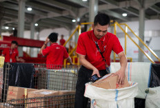 J&T Express Cetak Rekor Baru, Pengiriman Naik 24,2 Persen pada Kuartal II 2026
