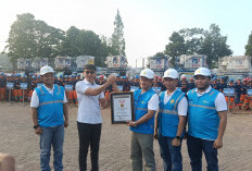 Rekor MURI di Kuningan! 222 Petugas PLN Rawat Jaringan Listrik di 303 Titik Tanpa Padam