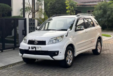 10 Mobil Bekas 7 Seater di Bawah 200 Juta, Kabin Luas Cocok untuk Kebutuhan Keluarga
