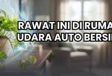 Dijamin Rumah Makin Asri Jika Merawat 5 Tanaman Hias Pemurni Udara Ini, Nomor Lima Ramah Pemula!