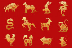 Perhatian Shio Ular 2026 Ada Titik Balik Besar: Cek Ramalan Karier, Keuangan, Cinta, dan Kesehatan Lengkap