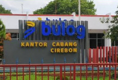 Bulog Perkuat Distribusi Pangan di Cirebon, Beras SPHP dan Minyakita Disalurkan Lewat KDKMP