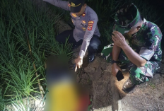 Tragis! Petani Tewas Tersengat Listrik di Sawah, Instalasi Pengendali Tikus Diduga Jadi Penyebab