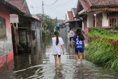 Hujan Deras Semalaman, 70 Rumah di Jatibarang Baru Indramayu Terendam Banjir