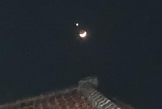 Bulan Sabit Berdampingan dengan Venus Hiasi Langit Cirebon, Ada Fenomena Okultasi