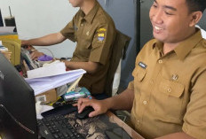 Pemerintah Buka Magang Hub, Sediakan Kuota 150 Ribu Peserta