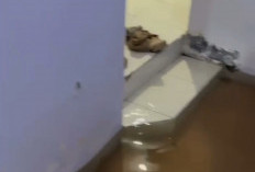 Banjir Langganan Rendam 20 Rumah di Gang Rukun Pekiringan, Begini Kata Warga 