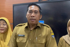 Hari Ke-2 Job Fair Onlinem 408 Lamaran Masuk dari 896 Loker 