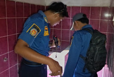 Musim Hujan Picu Ular Masuk Rumah, Damkar Indramayu Tangani 175 Kasus