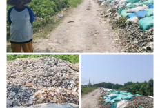 Tumpukan Limbah Cangkang Kerang Hijau Cemari Desa Mertasinga, Warga Resah