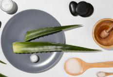 Rahasia Alami dari Pekarangan Rumah: Cara Lidah Buaya Atasi Kulit Kering dan Jerawat