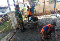 Sinergi TNI dan Warga, Proyek Koperasi Merah Putih Kesenden Terus Berjalan