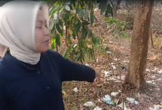 Memprihatinkan! Banyak Alat Kontrasepsi di Dekat Masjid Al Hidayah Dukuhsemar Cirebon