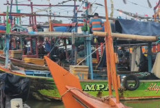 Koperasi Nelayan Mati Suri, Nelayan Cirebon Terpaksa Jual Ikan Murah ke Bakul