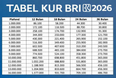 Lengkap, Simulasi Cicilan KUR BRI 2026 Terbaru: Cicilan Rp50–200 Juta, Ringan dan Realistis