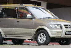 13 Mobil Bekas Rp60 Jutaan Oktober 2026 untuk Beragam Kebutuhan, Ada City Car, MPV, Sedan hingga SUV Premium