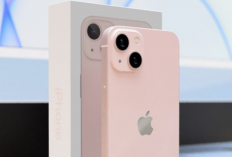 4 Rekomendasi iPhone Bekas Terbaik di 2026, Harga Gak Sampe 8 Jutaan