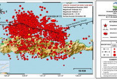 Gempa Susulan Flores Tembus 3.002 Kali, BMKG Ungkap Tren Aktivitas hingga Akhir September