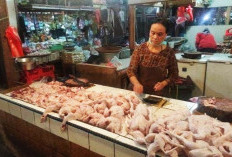 El Nino Mengintai 2027, Menkeu Purbaya Waspadai Harga Pangan dan Energi