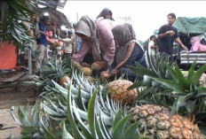 Berkah Lebaran! UMKM Oleh-Oleh Diserbu Pemudik, Penjualan Naik Drastis