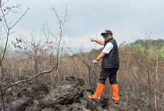 40 Hektare Hutan Gunung Ciremai Terbakar, Angin Kencang Bikin Api Sulit Dikendalikan