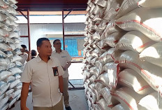 Stok Pangan Cirebon Aman hingga 11 Bulan, Bulog Siapkan 136 Ribu Ton Beras