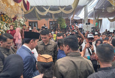 Jokowi Datang ke Sinarancang Cirebon, Warga Langsung Serbu hingga Iringi dengan Teriakan