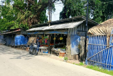 PKL Liar Kuasai Bahu Jalan Depan PG Tersana Baru, Warga Desak Satpol PP Tertibkan PKL Liar