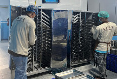 Hebat! SPPG Ender Produksi 3.309 Porsi dengan Standar Higienis Tinggi