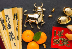 Shio yang Beruntung di Tahun 2026: Prediksi Keberuntungan Menurut Astrologi Tiongkok