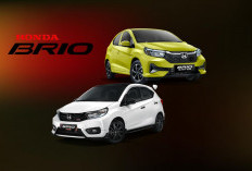 Cari Mobil Murah? Ini 7 Rekomendasi Mobil Bekas LCGC dengan Harga Mulai Rp50 Jutaan