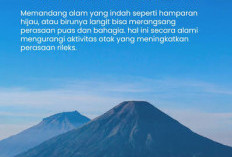 Mana yang Lebih Baik untuk Menjernihkan Pikiran Akibat Stress Berlebih, Pantai atau Pegunungan?