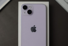4 Rekomendasi iPhone Bekas Budget 5 Jutaan, Punya Performa Kencang dan Kamera Sangat Bersaing