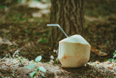 Punya Tekanan Darah Tinggi? Ketahui Manfaat dan Risiko Minum Air Kelapa