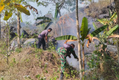Kebakaran Hutan Melanda Gunung Ciremai, 30 Hektare Lahan di TNGC Kuningan Terbakar