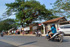 Bangunan Liar Cirebon Timur Kembali Disorot, Pemda Diminta Segera Bertindak