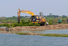 Tanggul Sungai Cisanggarung Terancam Jebol, Warga Tawangsari Gotong Royong Perbaiki 