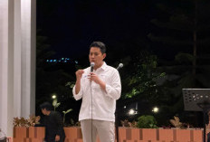 Tekanan Inflasi Didominasi Kelompok Pangan